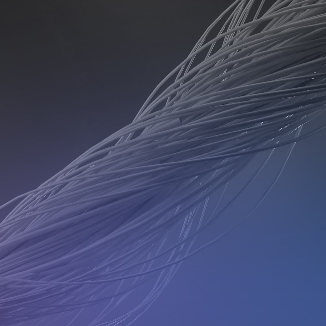 Trippo - Ride Sharing App